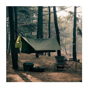 Haven Tent Standard Kit, kolor f.green