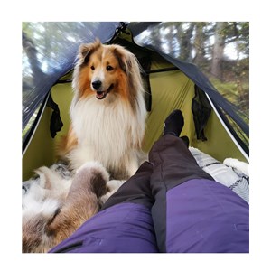 Haven Tent XL Standard Kit, kolor digital camo