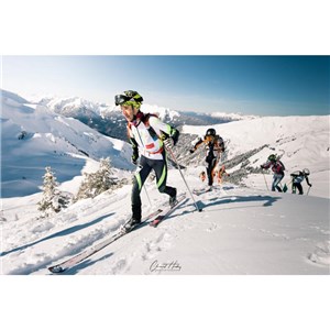 R120 wiązania skiturowe