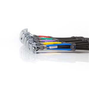 Totem Cam friend, rozmiar 1.25